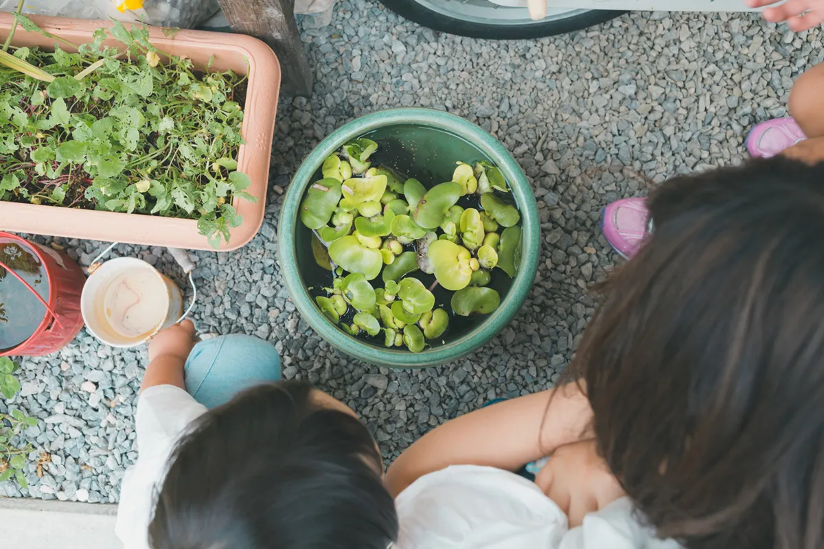 保育園・幼稚園での雑草対策　ビオトープを導入する際の注意点もご紹介